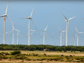Yucatán: Inauguran el parque eólico Dzilam Bravo, de 70 MW, el primero del estado