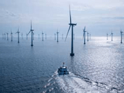 Nuevo consorcio para optar al desarrollo de la eólica marina en Holanda