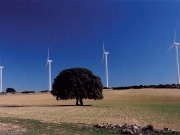 El negocio renovable de Iberdrola registra un beneficio neto en 2010 de 380,4 millones de euros