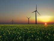 Los proyectos españoles de renovables y de captura de CO2 suspenden en Europa