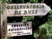 Los ecologistas temen que la eólica cause un "desastre ambiental" en Castilla La Mancha