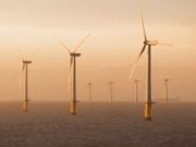 Groups drop opposition to wind turbines off Donald Trump