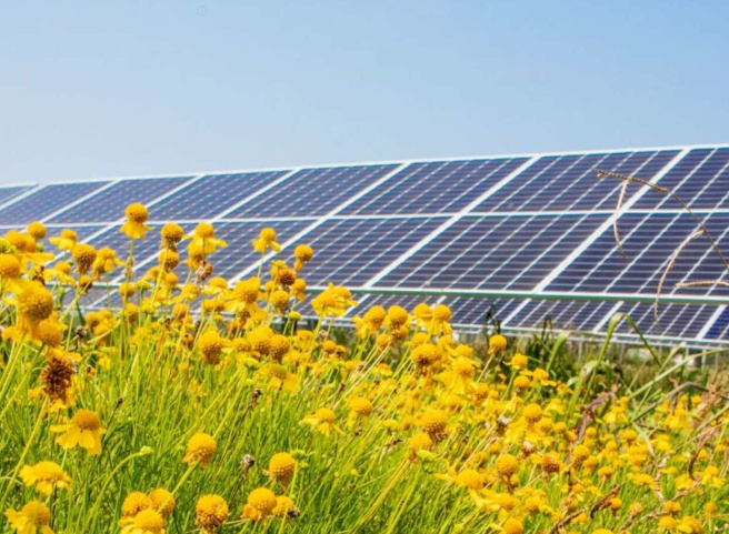 New York DPS Approves Solar and Wind Projects