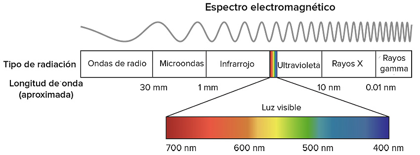 AS-Solar.-PERC.-Figura1