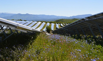 Vector Renewables realizará la ingeniería de la propiedad de ocho proyectos fotovoltaicos de BNZ en España