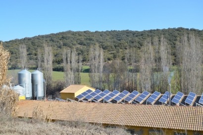 Energía solar para 900 cerdos