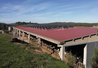 El autoconsumo fotovoltaico con compensación incrementa la rentabilidad de una ganadería gallega