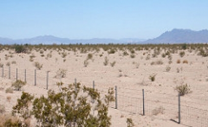 California: Autorizan tierras públicas para Palen, un proyecto fotovoltaico de 500 MW