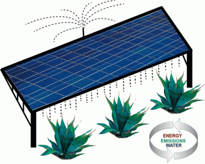 Dos en uno: fotovoltaica y biocombustible
