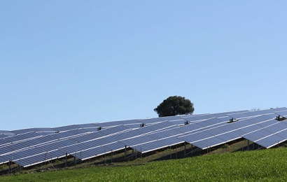 X-Elio se alza como la mayor adjudicataria de energía fotovoltaica en la subasta de renovables 