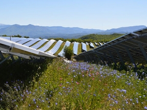 Vector Renewables realizará la ingeniería de la propiedad de ocho proyectos fotovoltaicos de BNZ en España