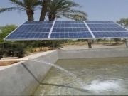 La solar FV permite a los regantes ahorrar hasta el 60% en electricidad