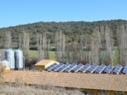 Energía solar para 900 cerdos