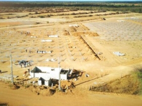 Canadian Solar consigue financiación por 100 millones de dólares