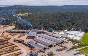 Burpellet, la biomasa fotovoltaica