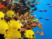 El Acuario Nacional se energizará al 40% con fotovoltaica