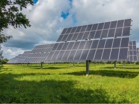 La española Grenergy vende a la canadiense CarbonFree un proyecto para construir 30 MW fotovoltaicos