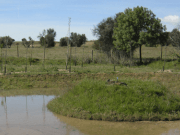 Acciona recupera un ecosistema de Toledo empleando energía solar