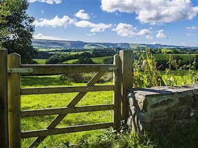 Puertas al campo