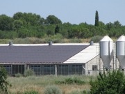 1.150 módulos fotovoltaicos para 1.110 cerdos