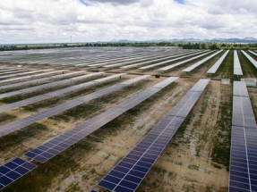 Soltec, empresa solar de mayor crecimiento de Europa por segundo año consecutivo