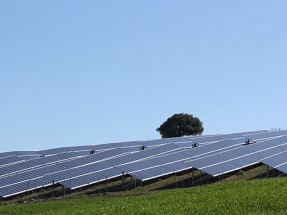 UNEF celebra el Real Decreto de subastas de renovables