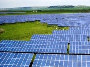 Yingli suministra los paneles FV a un proyecto de 1MW en Serbia