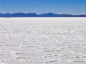 Sacyr y Ormat se adjudican la construcción de una planta piloto geotérmica en Laguna Colorada