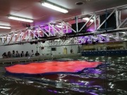 World-first trial aims to harness wave farm potential