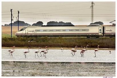 Plan Tren 2020, las claves para que el tren sea motor económico y social de futuro