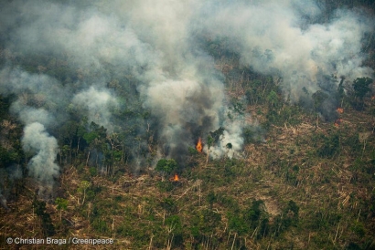 ONG denuncian recortes medioambientales en el presupuesto proyectado por el gobierno de Bolsonaro