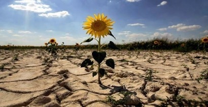 Greenpeace denuncia que la Comisión Europea no ha alineado su política de cambio climático con el Acuerdo de París