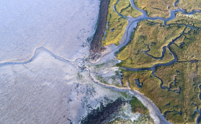 El poder osmótico de los estuarios de los ríos podría ser utilizado para generar energía