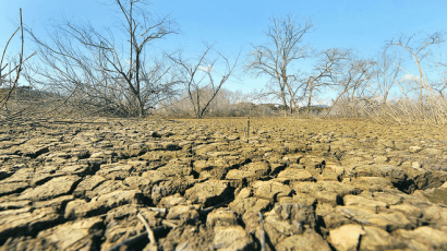 La FAO crea una sección especial dedicada al cambio climático