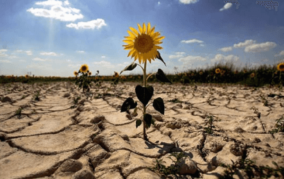 El Congreso acuerda los contenidos claves de la Ley de Cambio Climático