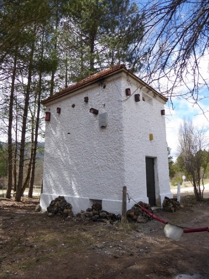 Una historia de lechuzas, mochuelos, chovas y murciélagos