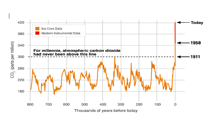 Figura 2: Evolución del CO2. Escala geológica