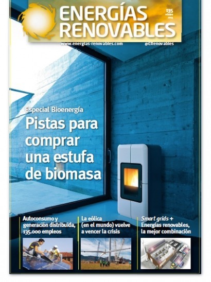 Especial Bioenergía: pistas para comprar una estufa de biomasa