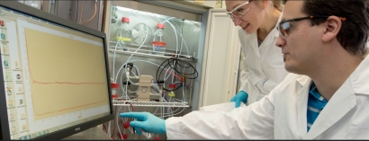 Siemens y la quÃ­mica Evonik desarrollan productos quÃ­micos verdes a partir del CO2