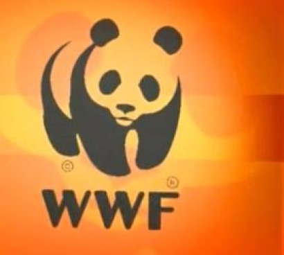 WWF considera "decepcionante" el -55%