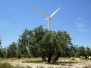 Andalucía, primera en biomasa eléctrica, termosolar y producción de biocarburantes