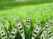 Los bonos verdes triplican su valor en solo un año