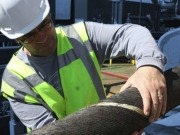 Supply chain preparing for Supergrid, report finds