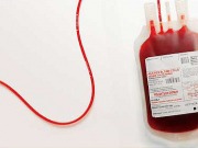 Pronto llamarán a todos los dinosaurios empadronados en España para donar sangre