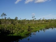 Yasuní: Indonesia aportará un millón de dólares