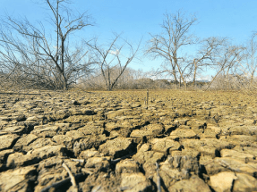 La FAO crea una sección especial dedicada al cambio climático