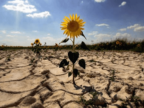 El Congreso acuerda los contenidos claves de la Ley de Cambio Climático