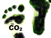 El gobierno pondrá en marcha un registro para que todas las empresas calculen su huella de carbono