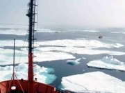 Greenpeace pide que el Ártico sea protegido con urgencia