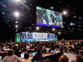 El "trumpismo climático" ha hecho mucho daño en la COP 24